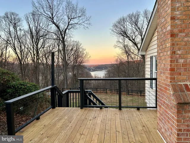 a yard with trees in the background