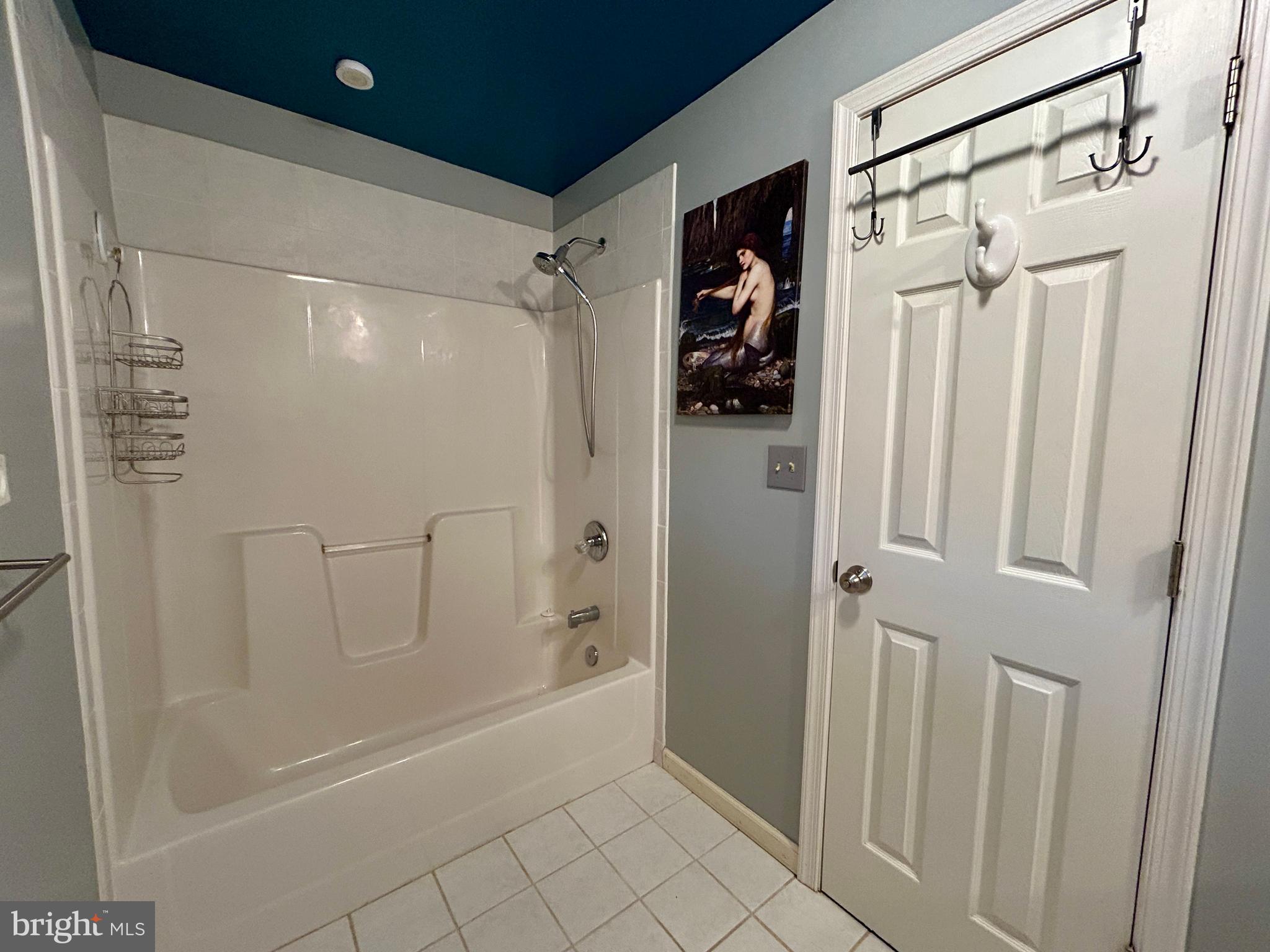 118 Roller Coaster Road Harpers Ferry, WV 25425 - Photo 39 of 56 Full bath downstairs.