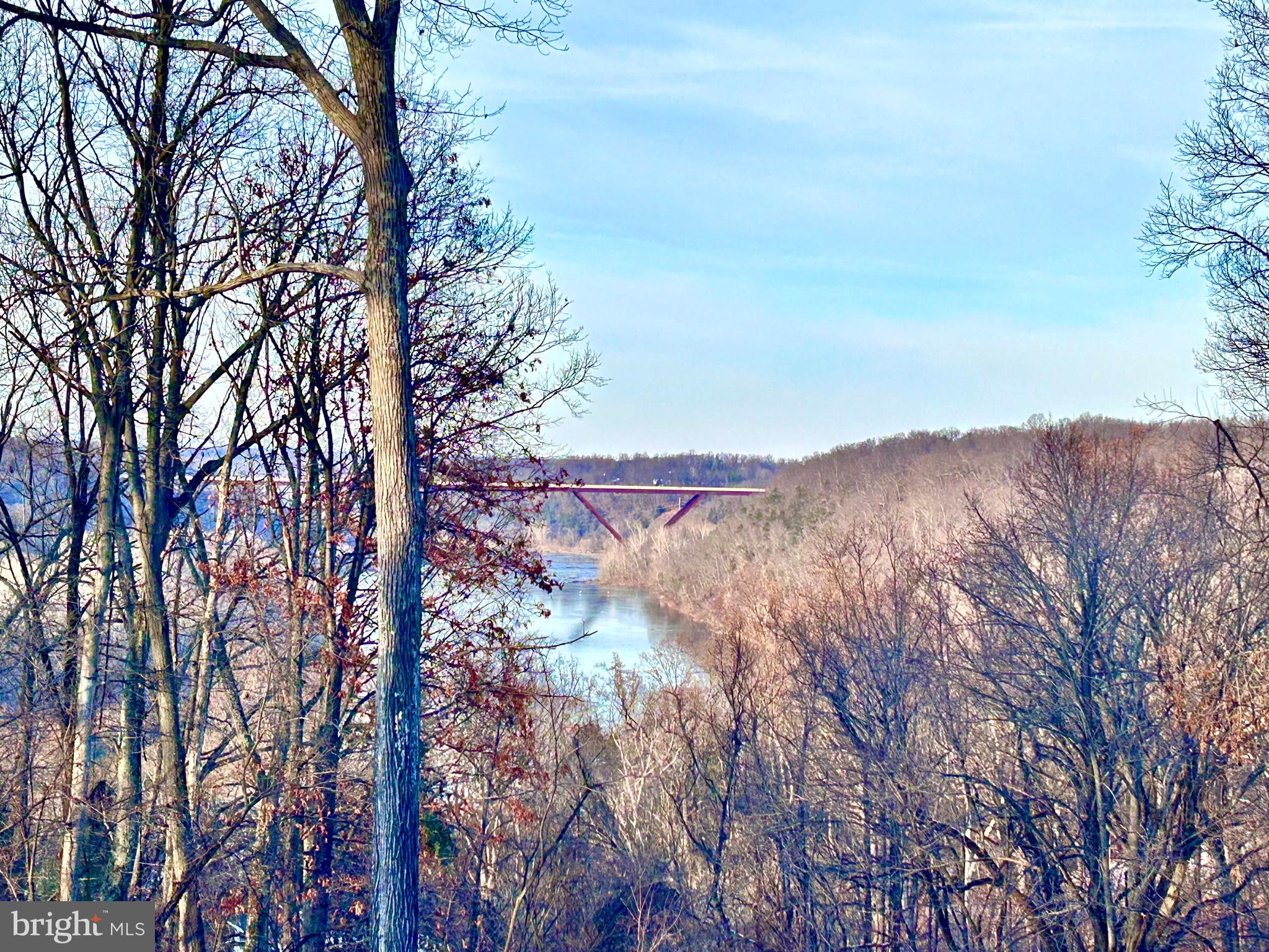 118 Roller Coaster Road Harpers Ferry, WV 25425 - Photo 44 of 56 a view of a dry yard with green space