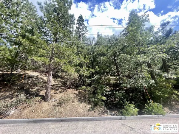 $27,500 | 6011 Mountain Home Creek Road, Angelus Oaks, CA 92305
