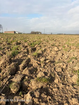 $123,900 | Cypress Avenue, Greenwood, MS 38930