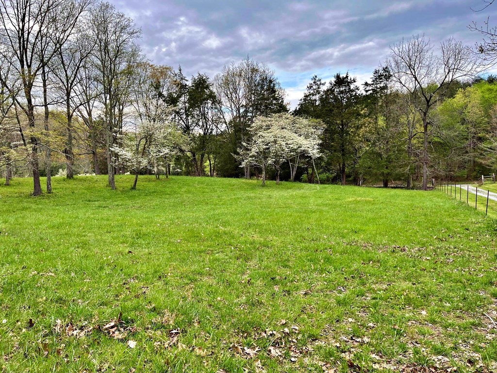 180 Shoemaker Lane Decatur, TN 37322 - Photo 4 of 70 Gallery Image 4
