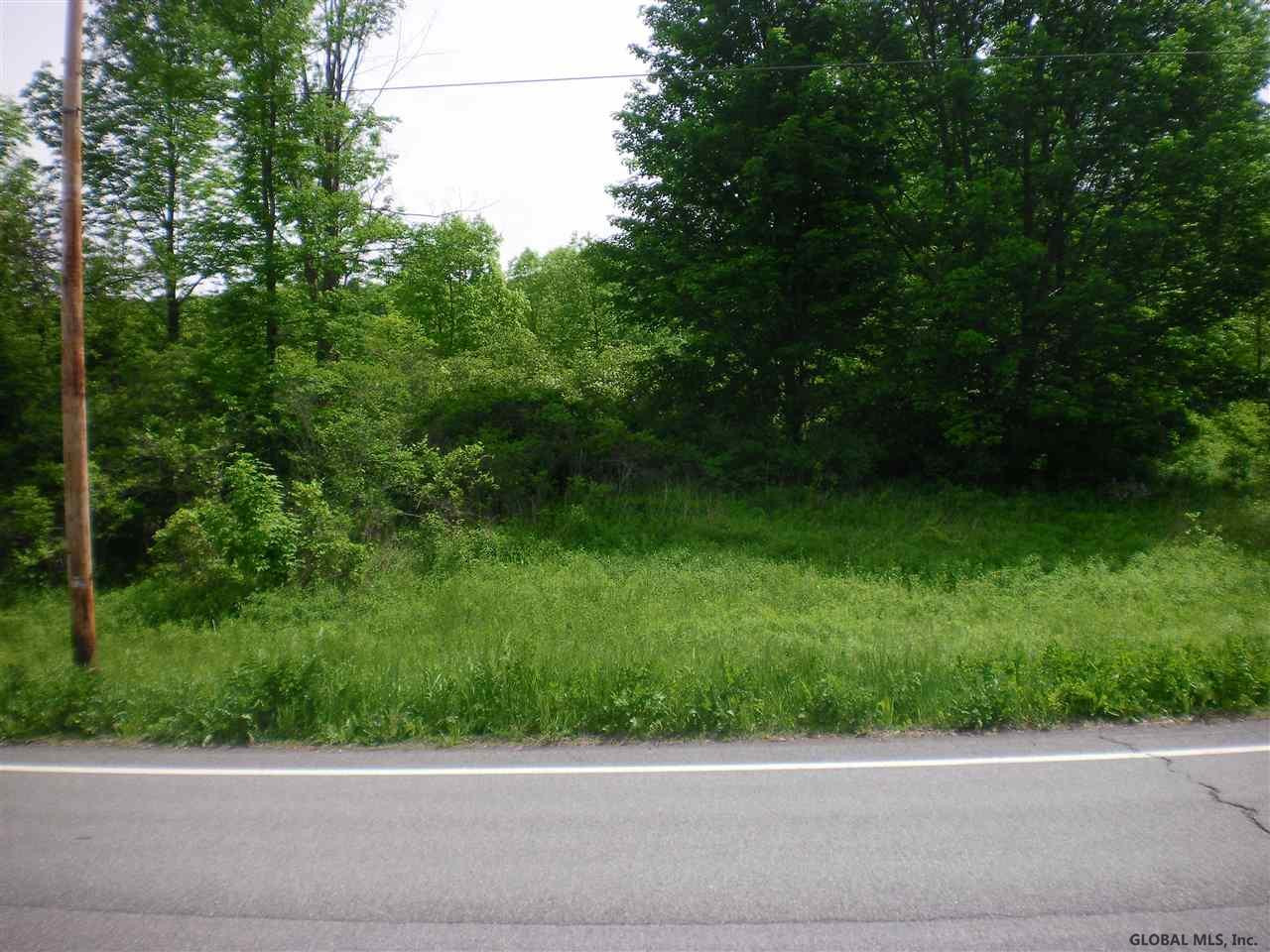 145 State Route Middleburgh, NY 12122 - Photo 2 of 6 Photo 2
