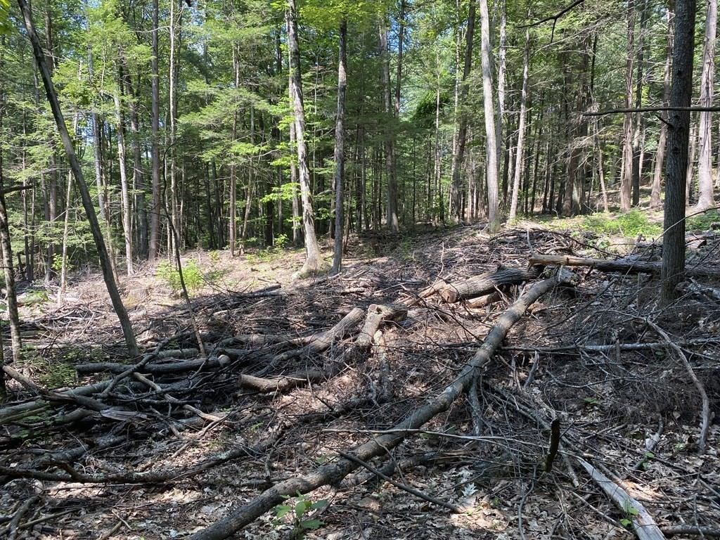 0 Bailey Road Buckland, MA 01338 - Photo 8 of 13 Gallery Image 8