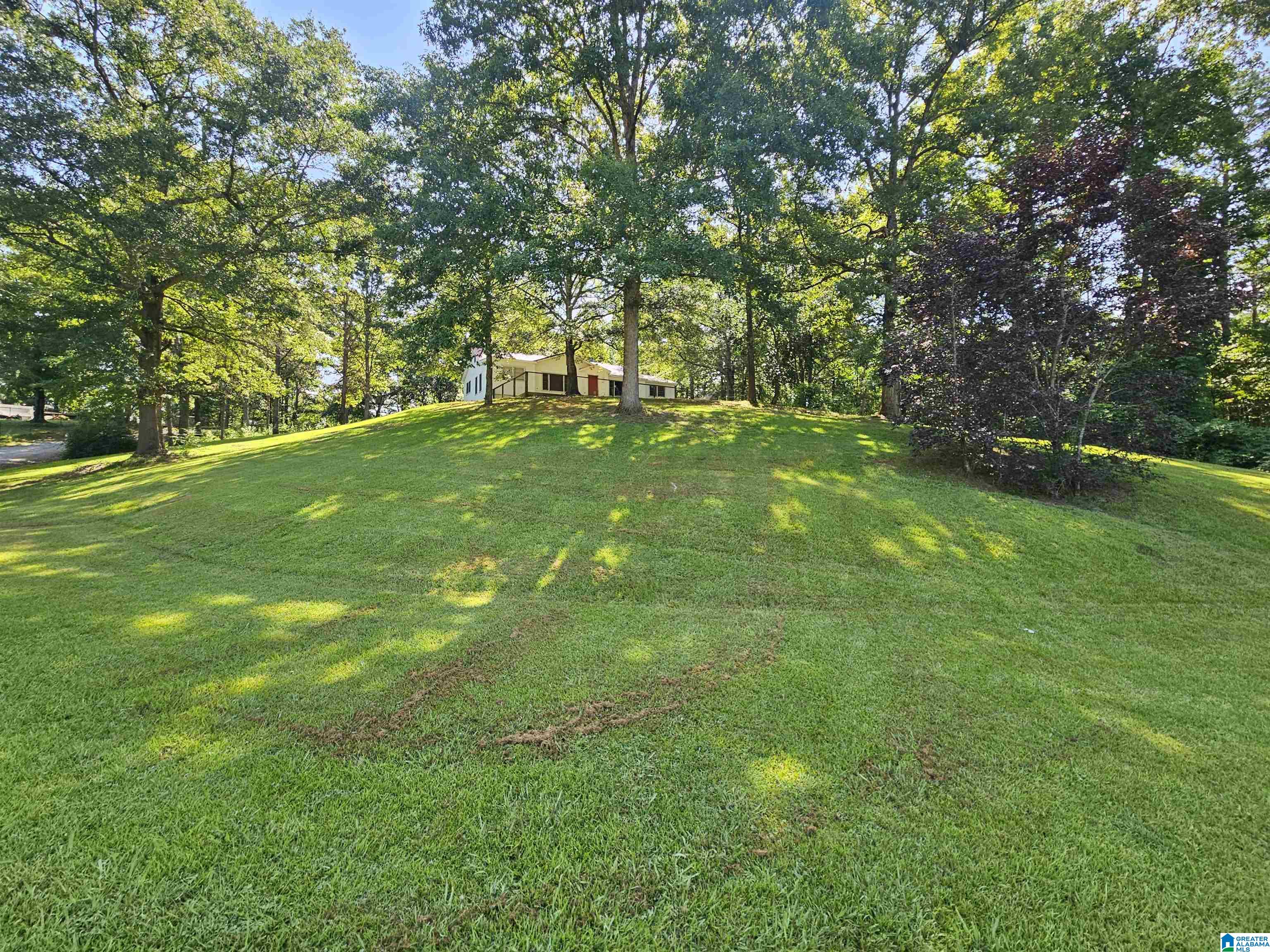 5424 Old Coal City Road Ragland, AL 35131 - Photo 18 of 18 Gallery Image 18