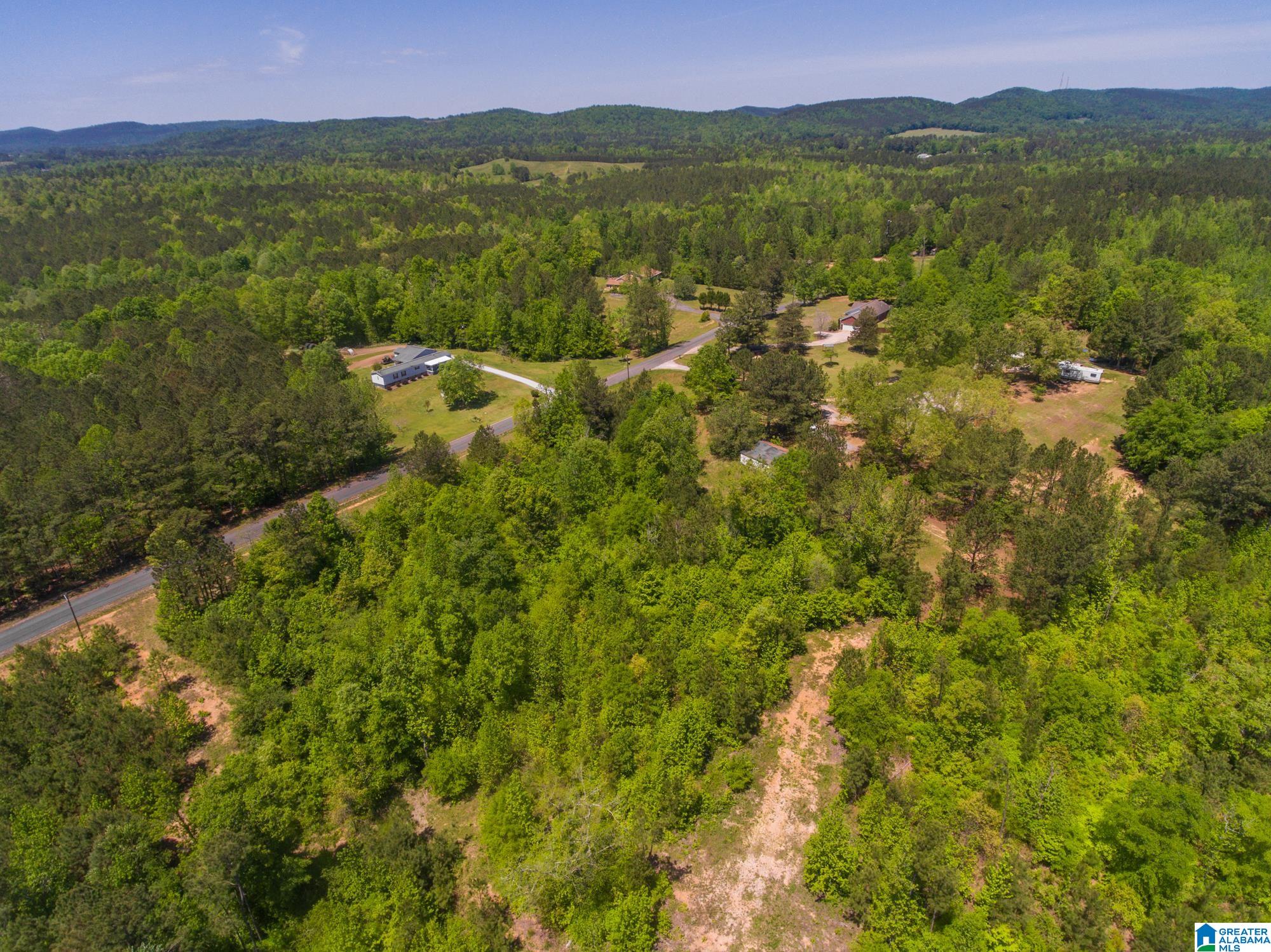 1326 Pine Ridge Road Wellington, AL 36279 - Photo 4 of 15