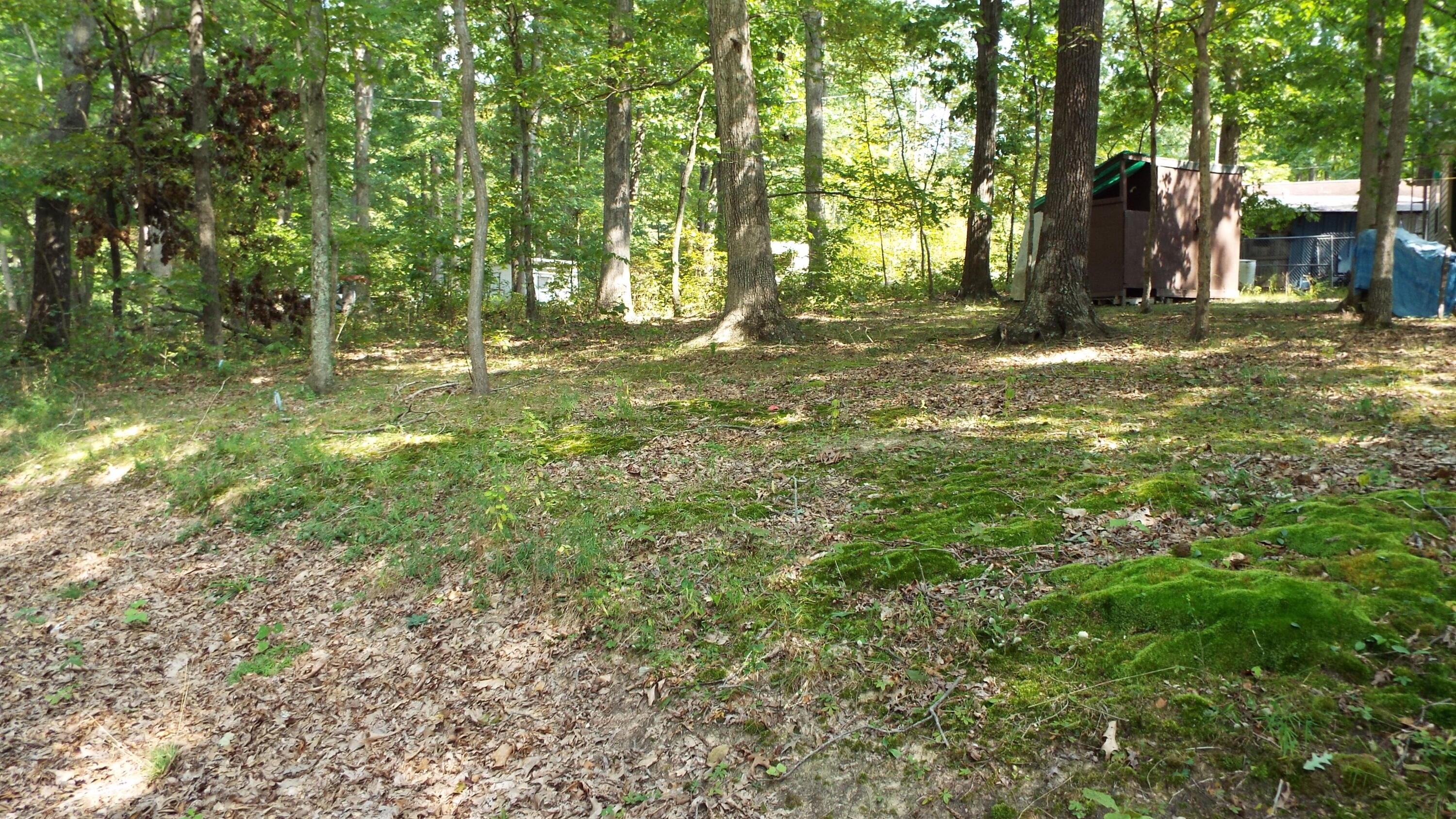 0 Red Maple Road Glouster, OH 45732 - Photo 4 of 16 Second lot