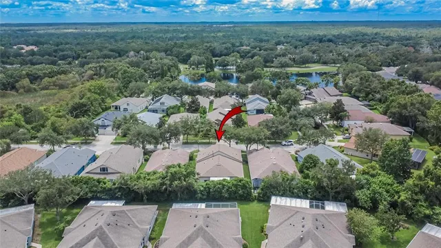 a view of a park that has a large tree