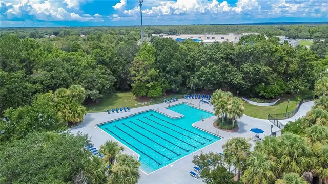 a view of a park with large trees