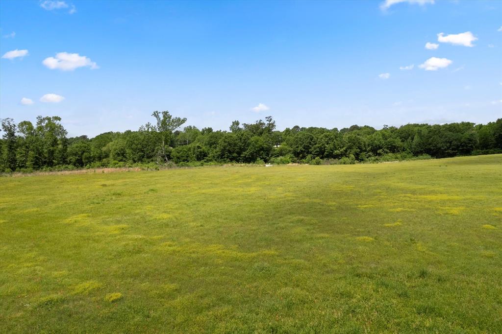 Lot 01 County Rd 1309 Pittsburg, TX 75686 - Photo 5 of 14