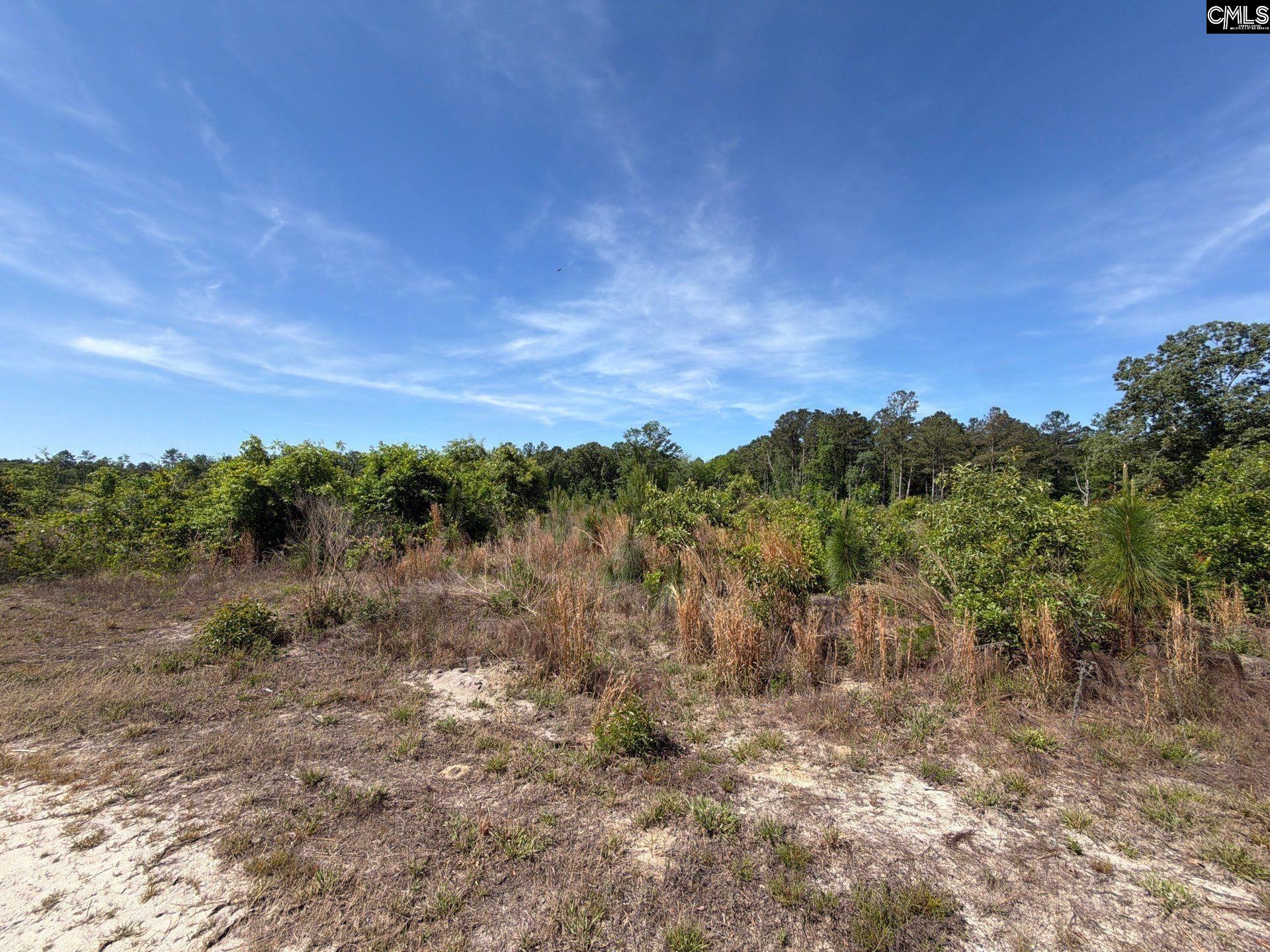 1 Holstein Road Monetta, SC 29105 - Photo 7 of 36