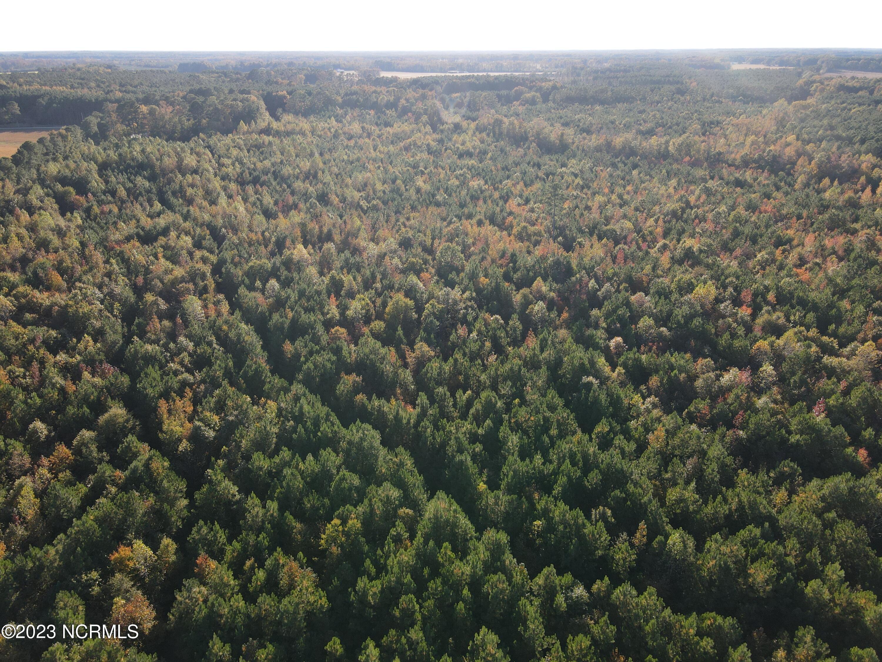 Tbd Tower Road Pendleton, NC 27862 - Photo 6 of 12 DJI_0443