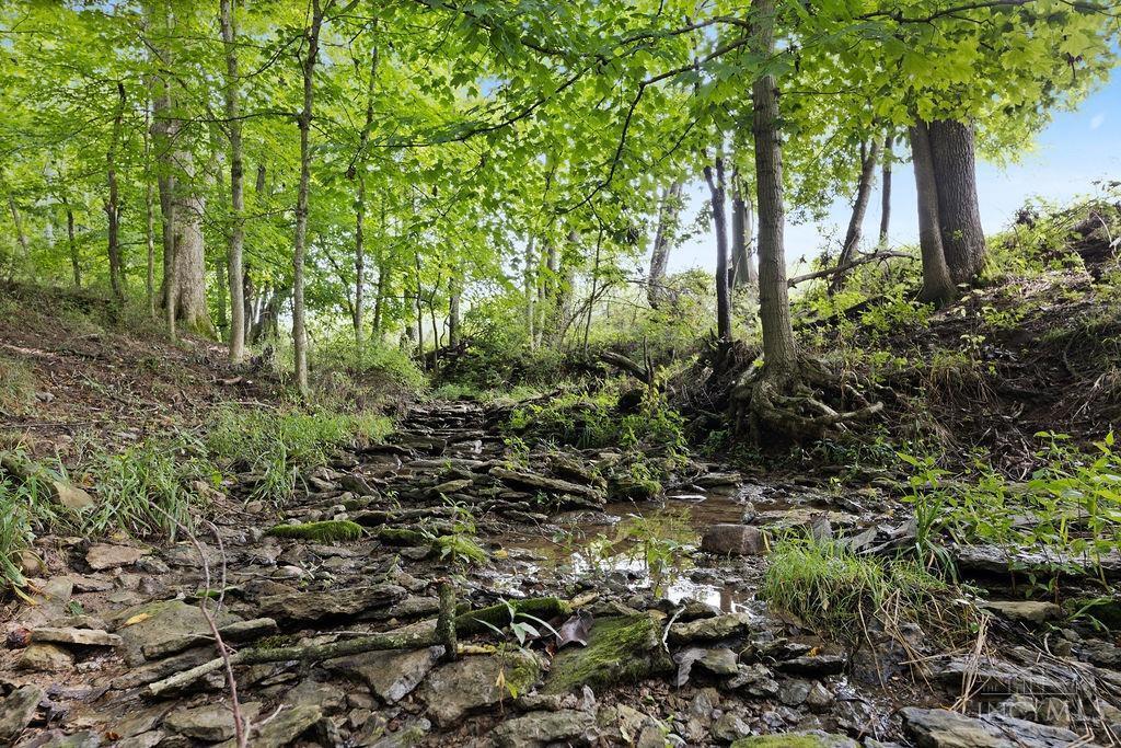 8963 Highway 353 Ripley, OH 45167 - Photo 48 of 50