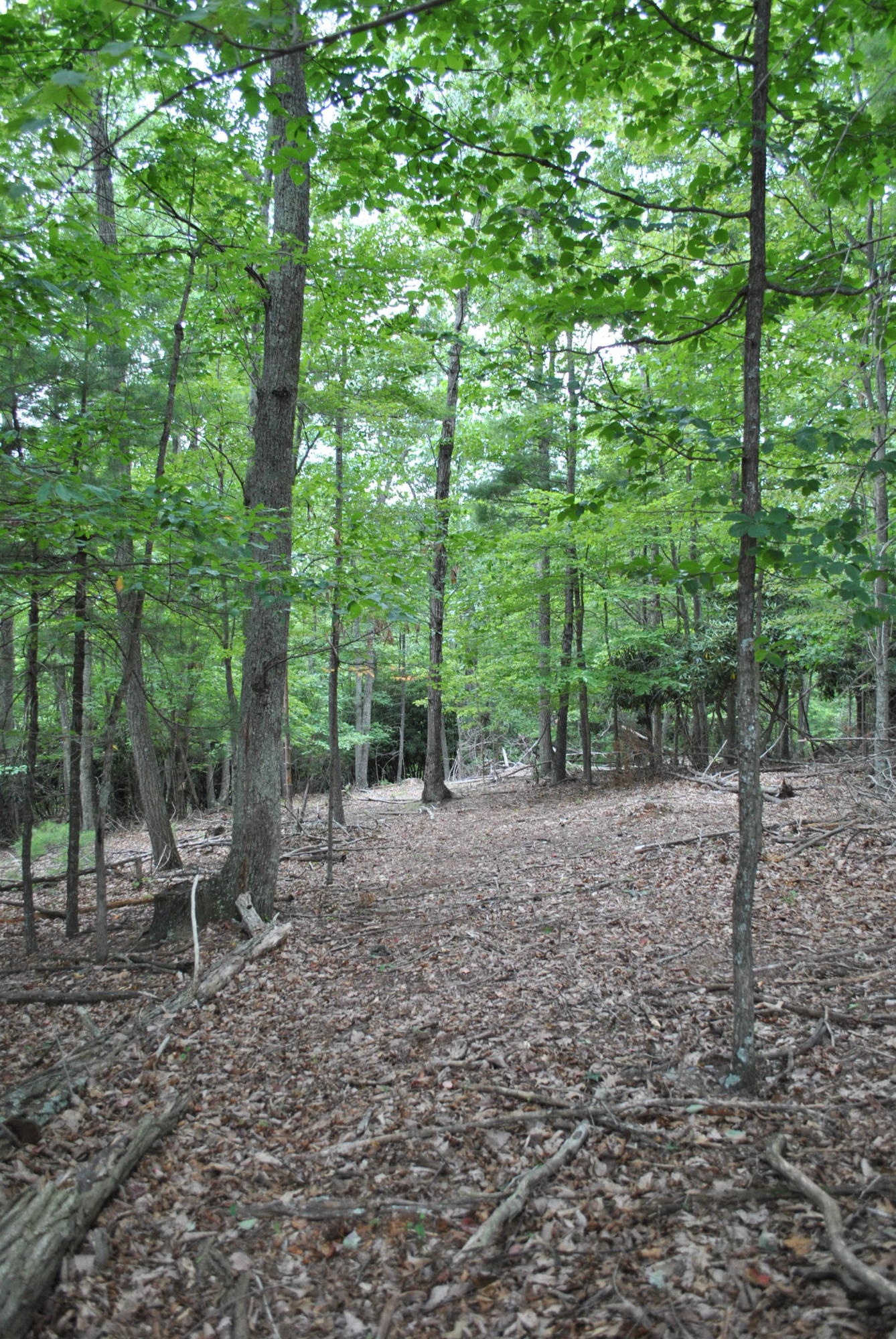 219 Berryhill Road Northwest Riner, VA 24149 - Photo 49 of 54 a view of outdoor space and yard