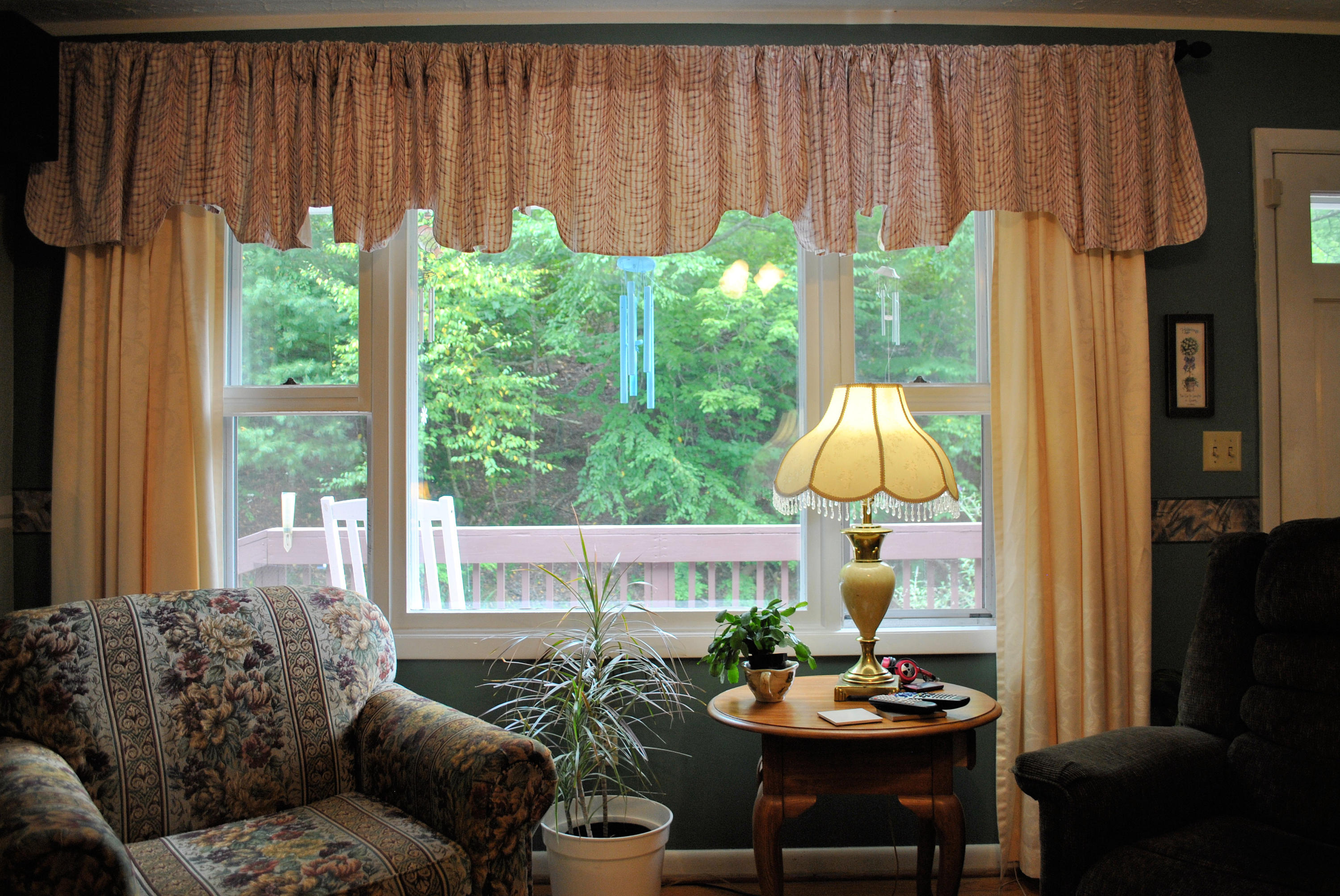 219 Berryhill Road Northwest Riner, VA 24149 - Photo 9 of 54 a living room with furniture and a potted plant
