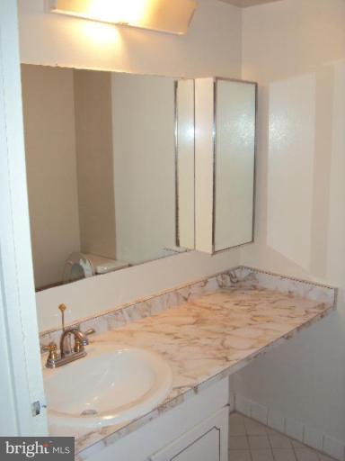 11220 Chestnut Grove Square, Unit 121 Reston, VA 20190 - Photo 15 of 18 Bath #2