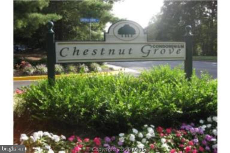 11220 Chestnut Grove Square, Unit 121 Reston, VA 20190 - Photo 16 of 18 Other #5