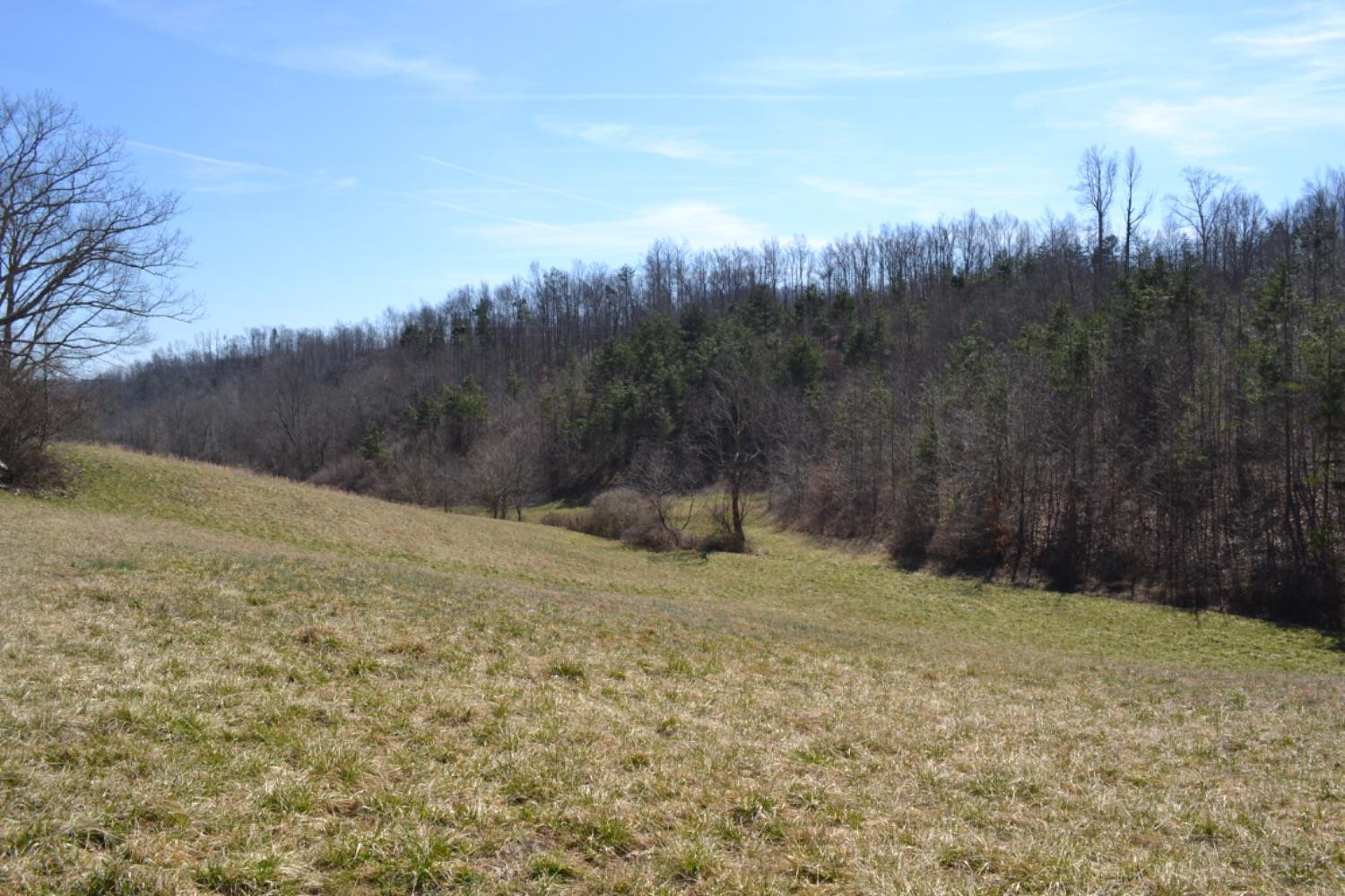1216 Leger Fork Road Tyner, KY 40486 - Photo 66 of 68 Photo 66
