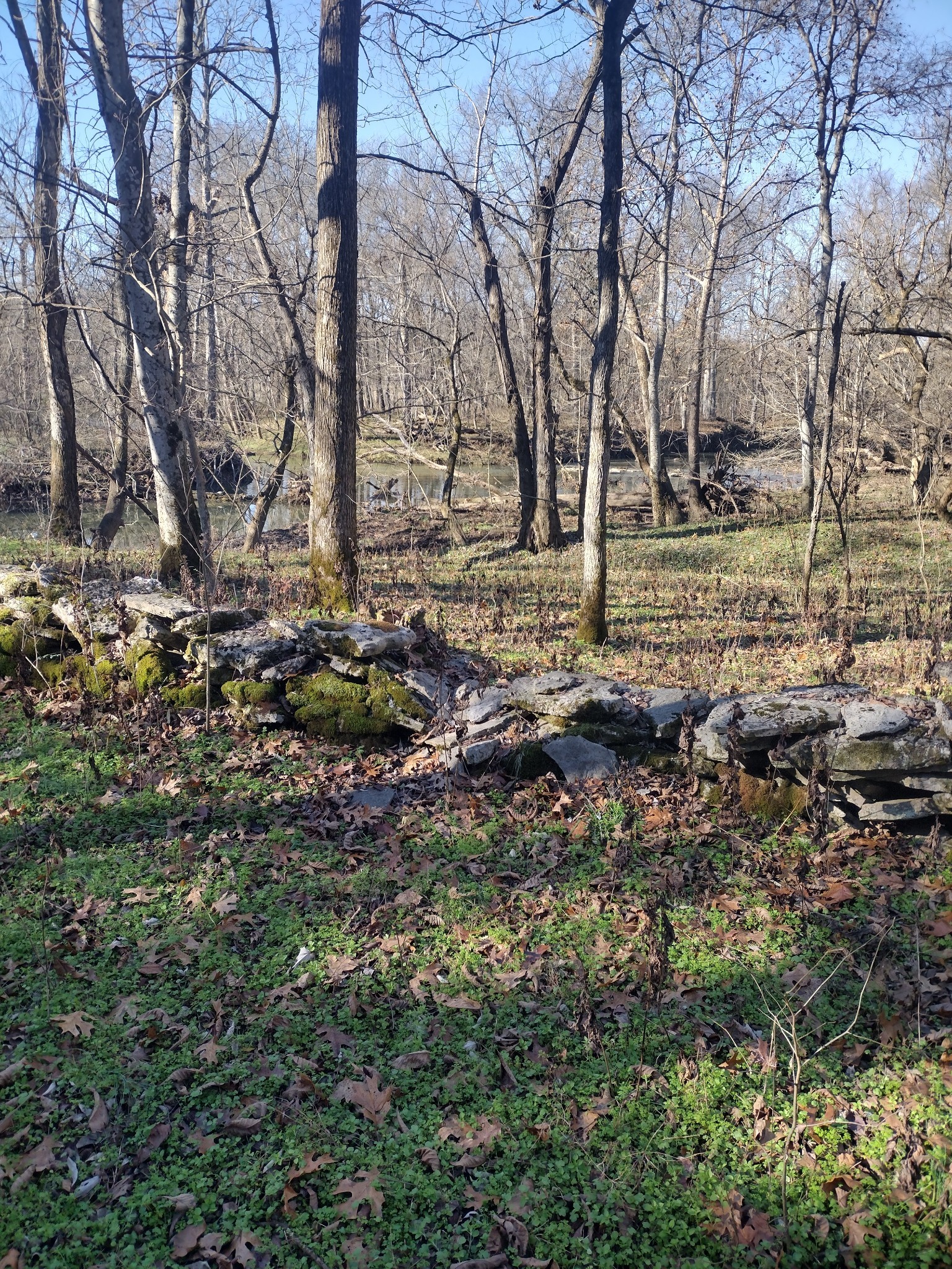 980 Baldy Ford Road Lascassas, TN 37085 - Photo 6 of 6 a backyard of a house with lots of green space
