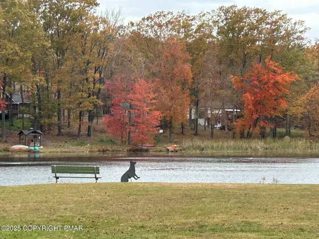a view of a swimming pool with an outdoor space