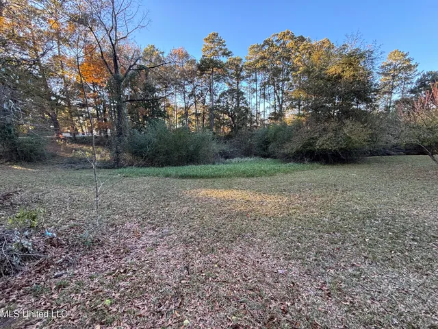 $239,900 | 456 County Road 29, Bay Springs, MS 39422