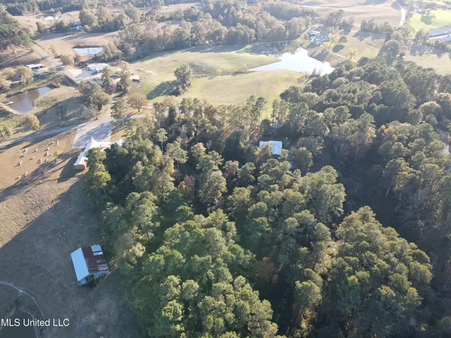 $239,900 | 456 County Road 29, Bay Springs, MS 39422