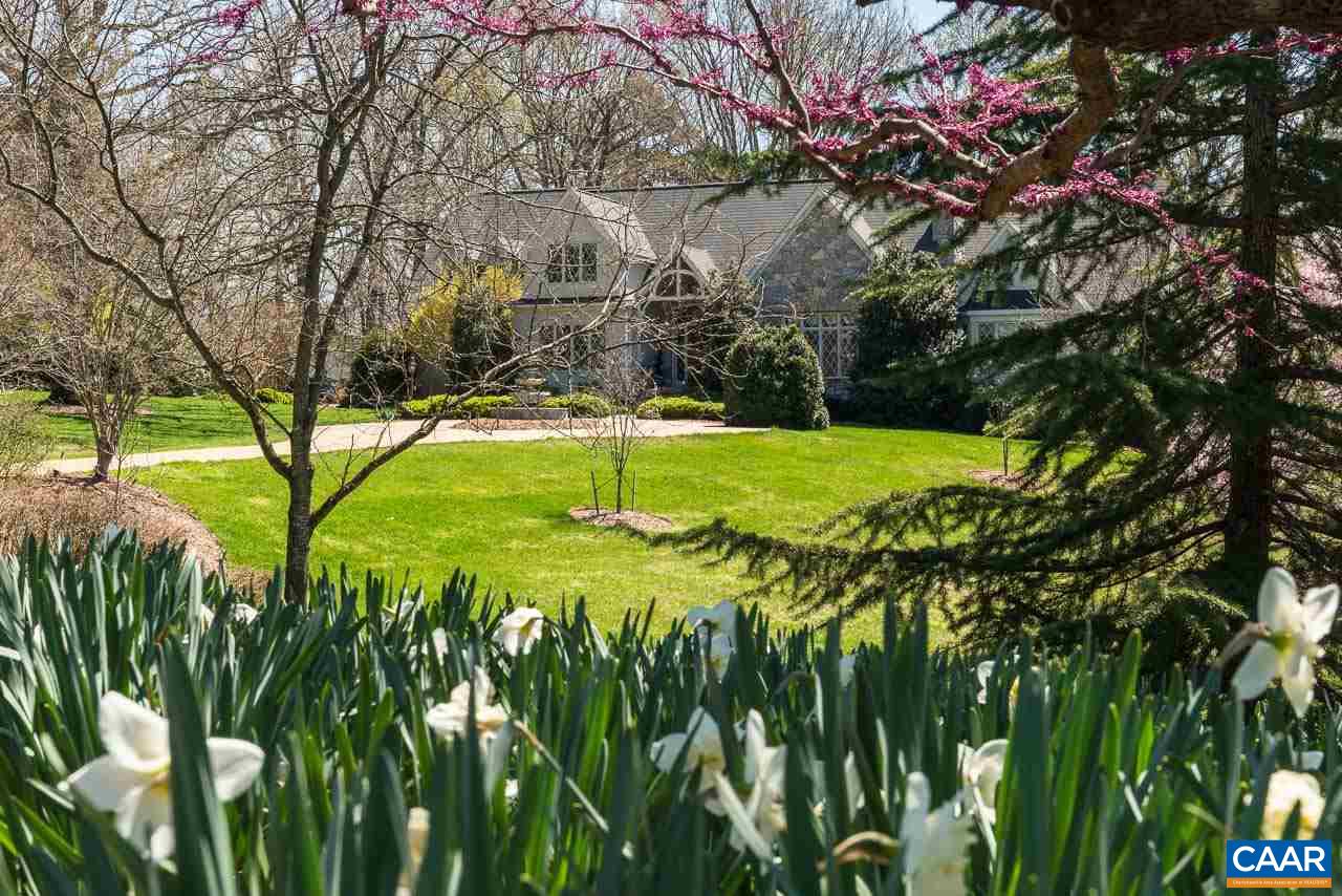 2121 Garth Road Charlottesville, VA 22901 - Photo 35 of 75 a view of a yard with an trees