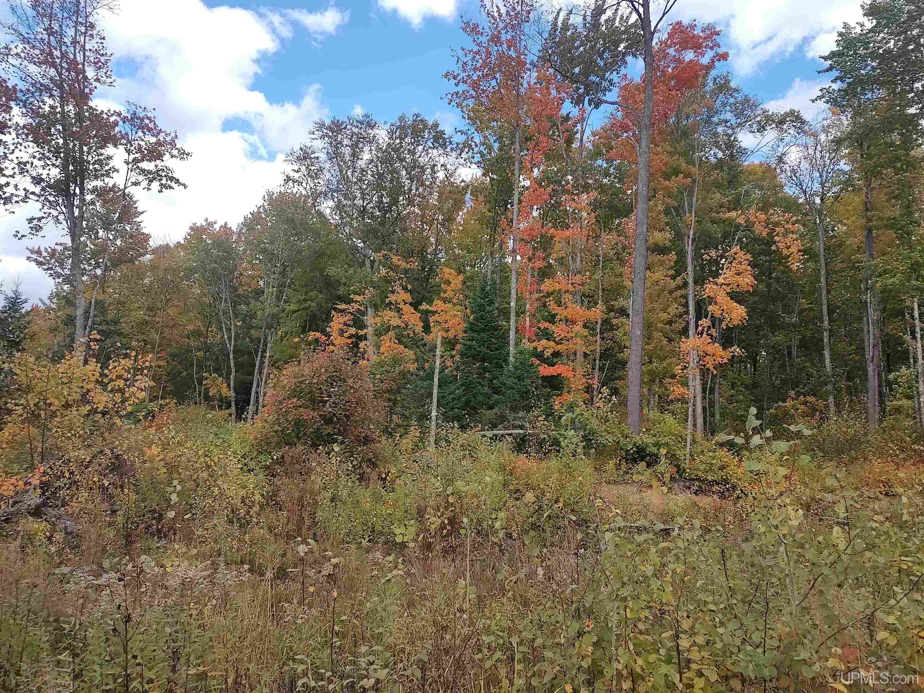 327 Rd Rumely Mi 49826 Road Skandia, MI 49885 - Photo 10 of 23
