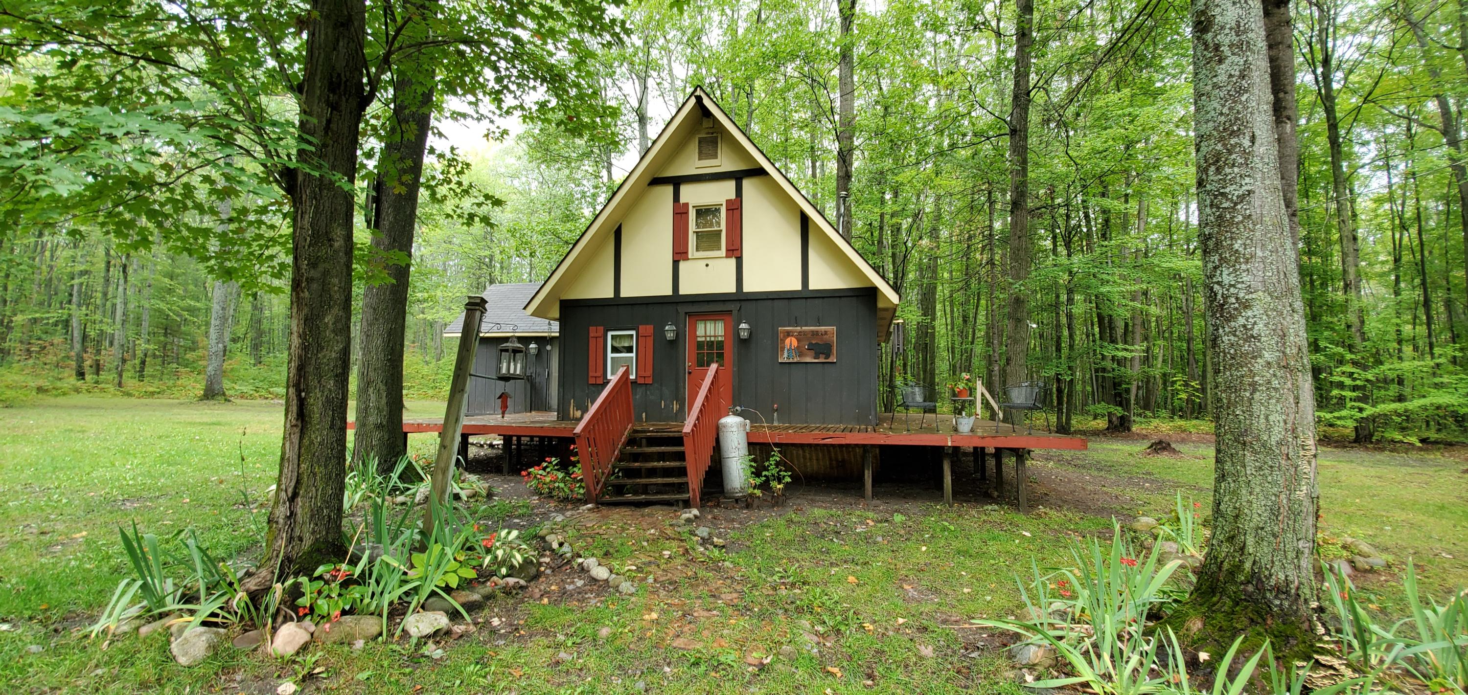 11850 Fawn Road Atlanta, MI 49709 - Photo 1 of 25 Gallery Image 1