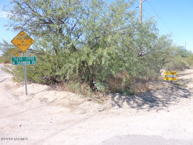11880 North Shannon Road Tucson, AZ 85742 - Photo 8 of 9