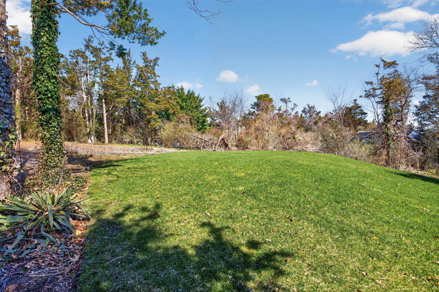 250 Mary Chase Road Eastham, MA 02642 - Photo 54 of 66 Back lawn
