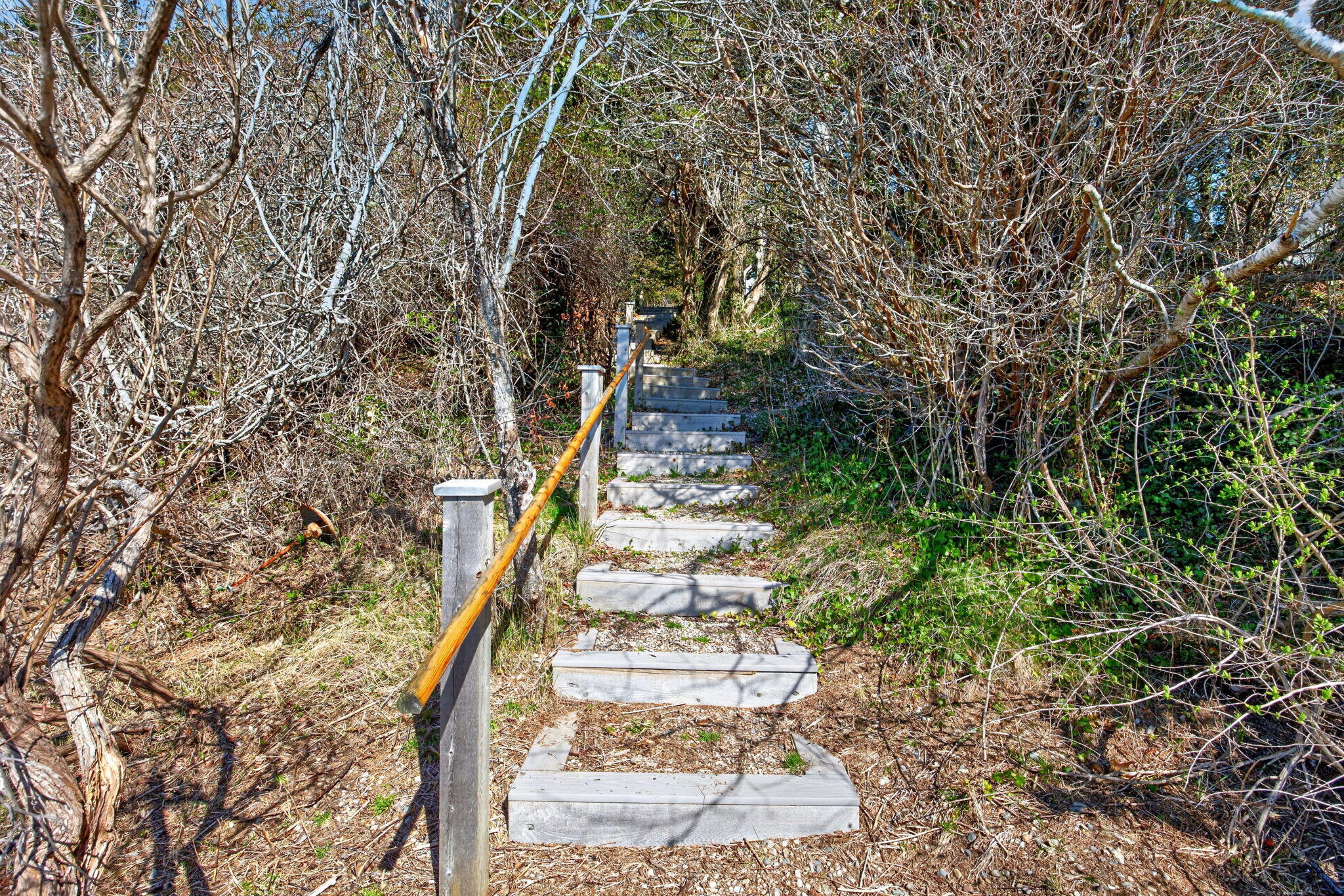 250 Mary Chase Road Eastham, MA 02642 - Photo 60 of 66 Path to the Cove