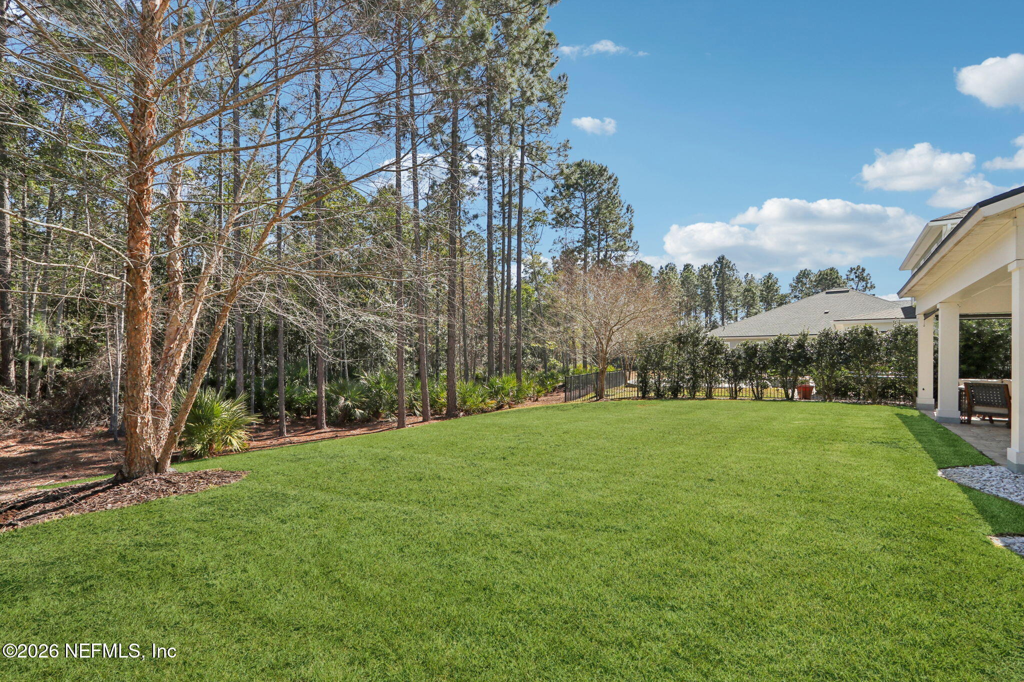 254 Dock House Road St. Johns, FL 32259 - Photo 55 of 101 Back Yard View