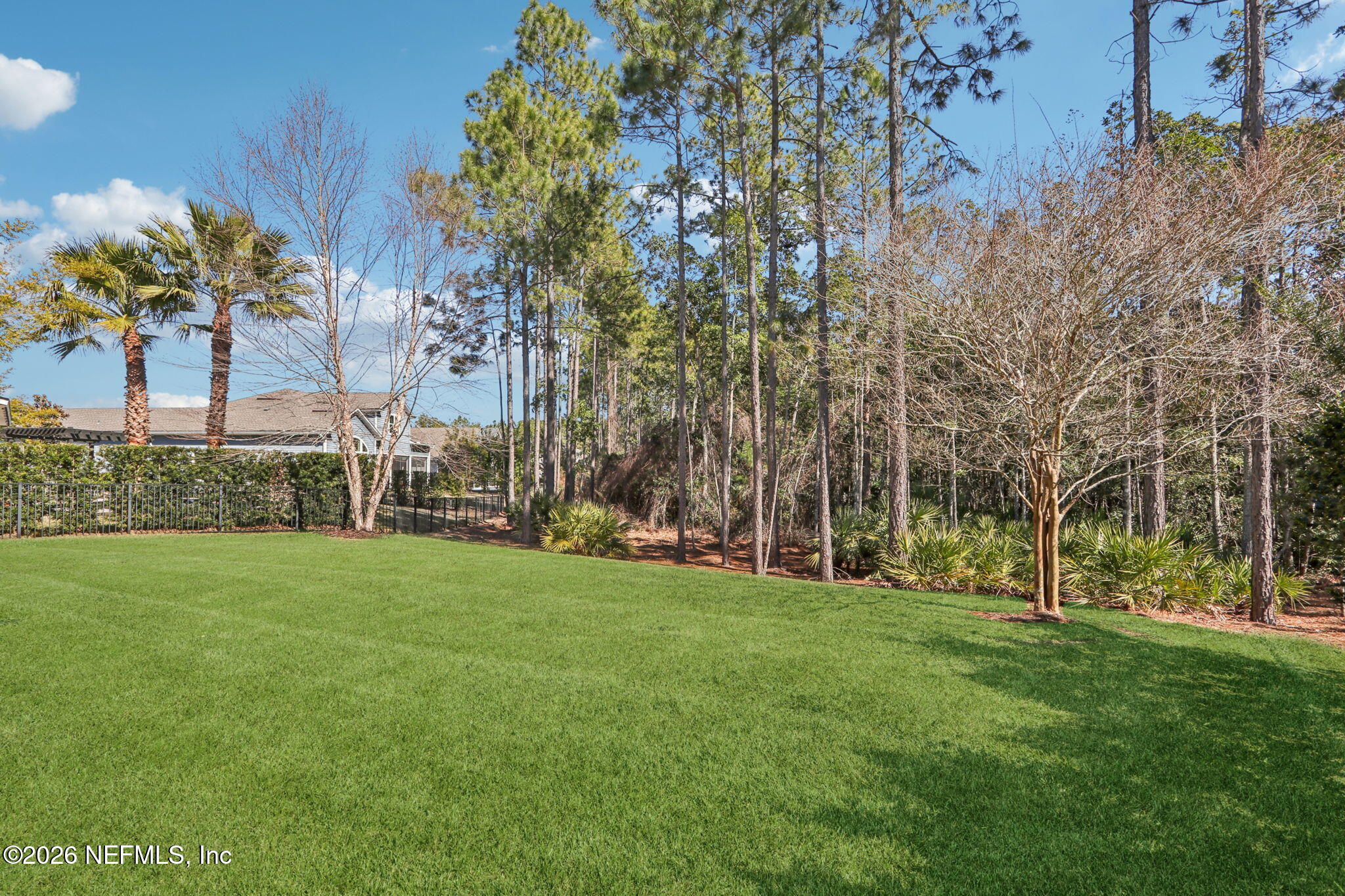 254 Dock House Road St. Johns, FL 32259 - Photo 58 of 101 Back Yard View of Preserve