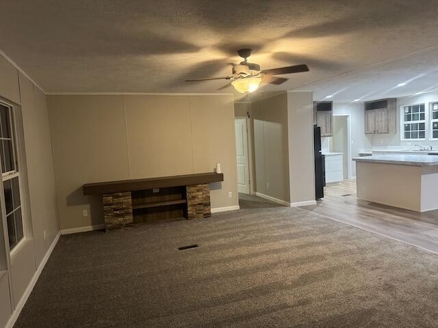 236 Wash Wilson Loop Blue Ridge, GA 30513 - Photo 3 of 22