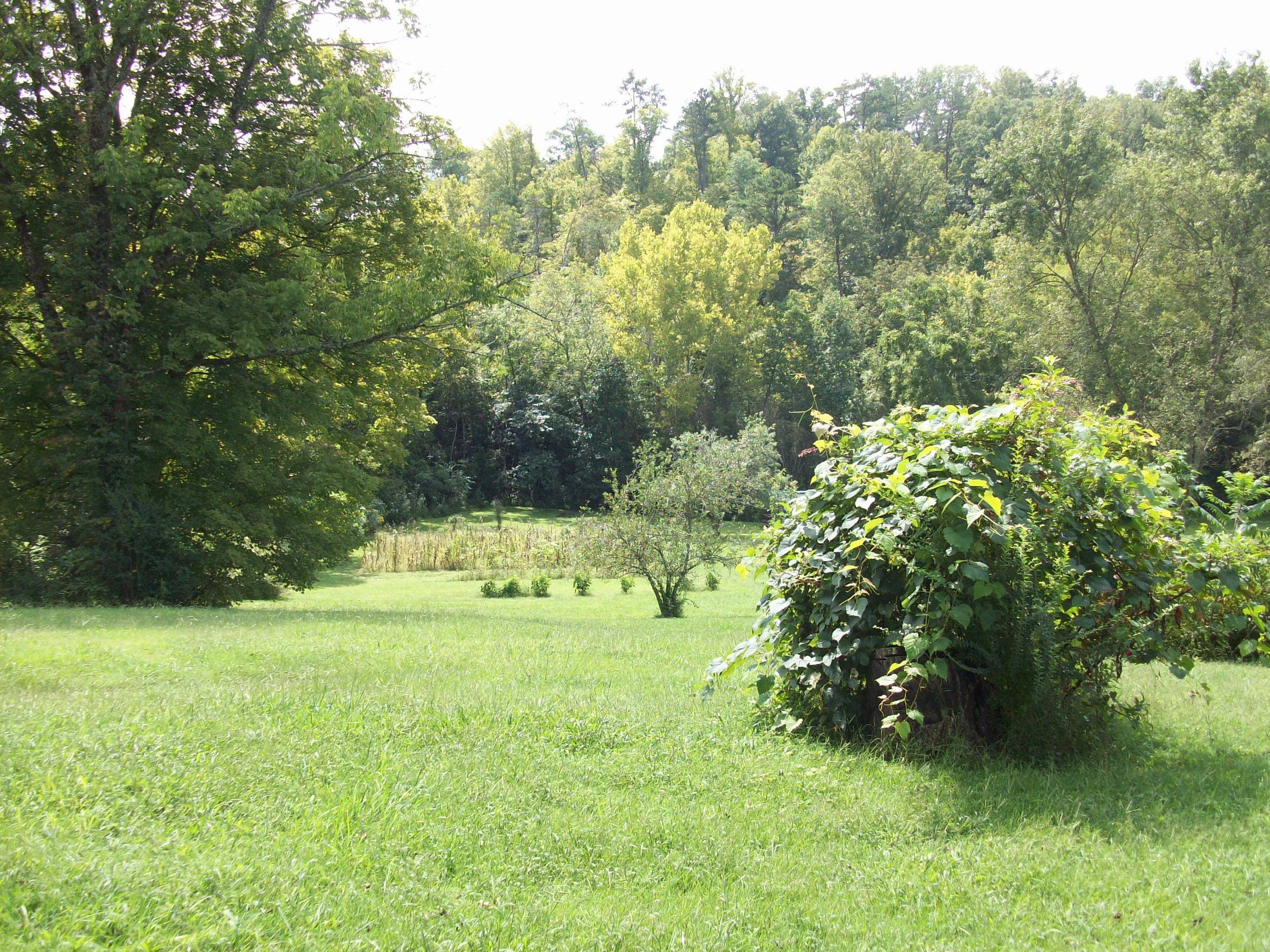 7707 Rollen Road Knoxville, TN 37920 - Photo 14 of 21 7707 ROLLEN RD