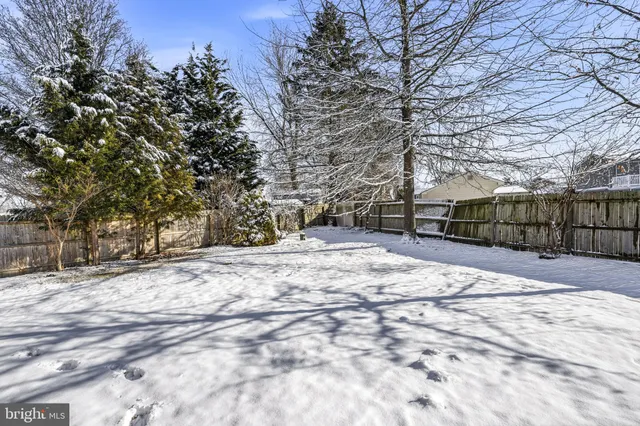 a view of backyard with a trees