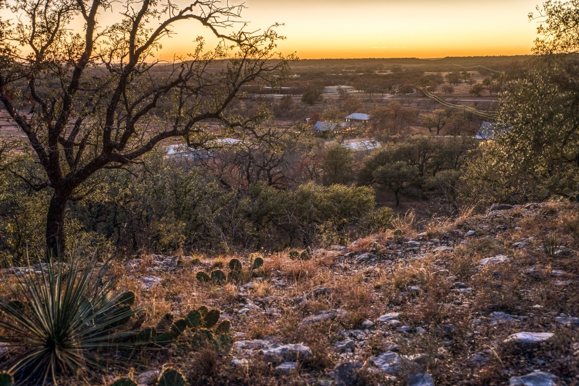 2969 County Road 422 Talpa, TX 76882 - Photo 37 of 40 a view of a yard