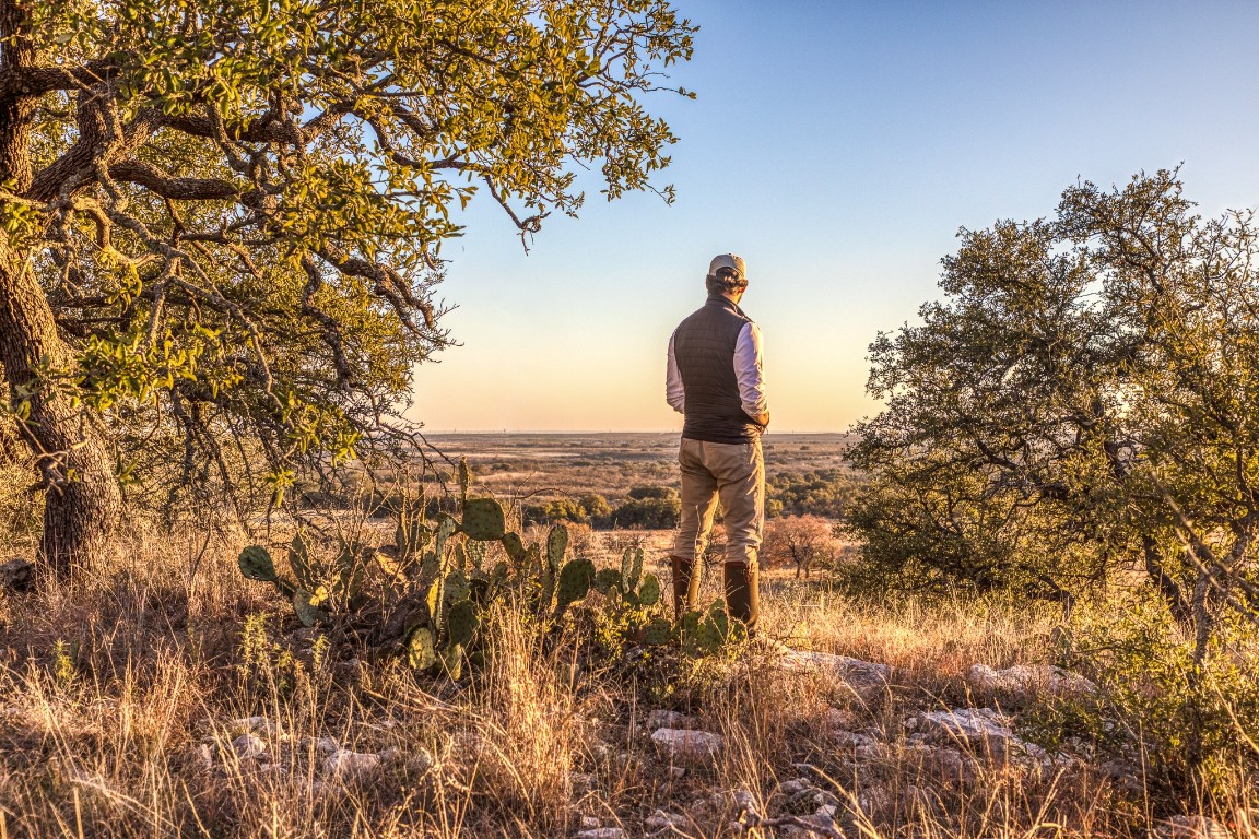 2969 County Road 422 Talpa, TX 76882 - Photo 4 of 40 a view of a city