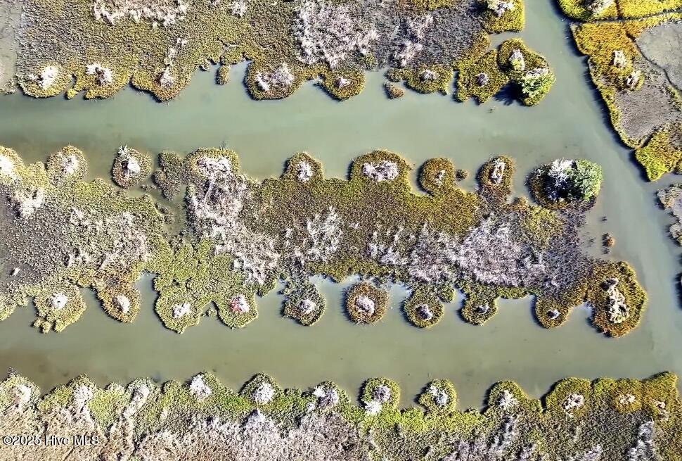 138 Royal Palms Way Holly Ridge, NC 28445 - Photo 18 of 26 IMG_9835