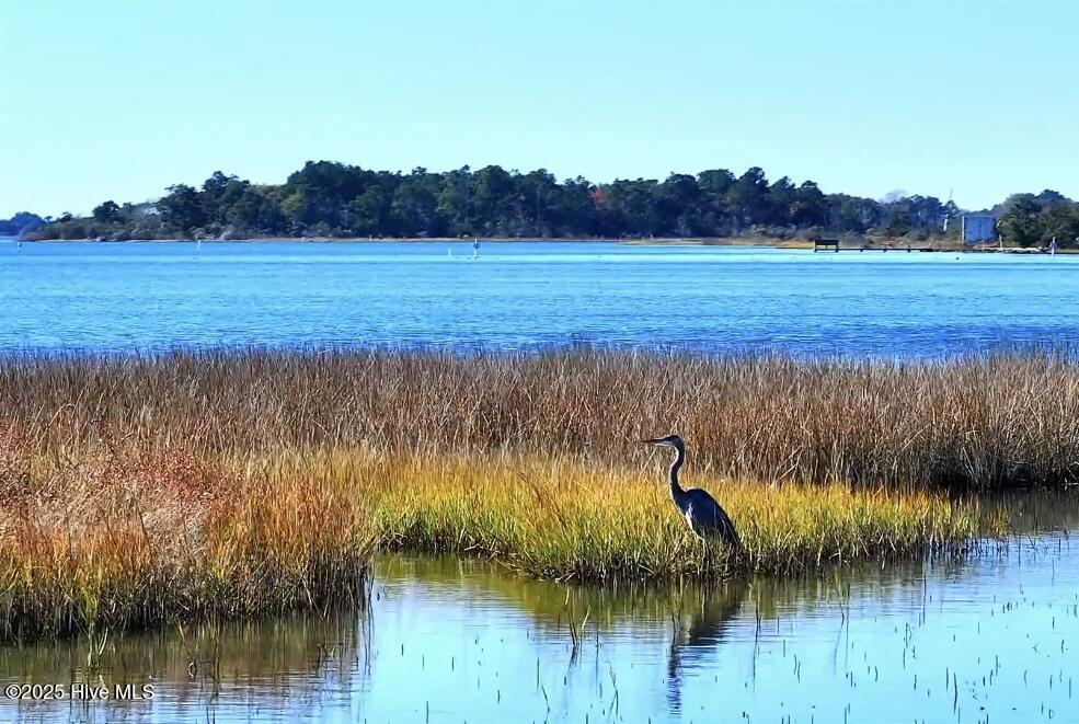 138 Royal Palms Way Holly Ridge, NC 28445 - Photo 21 of 26 IMG_9839