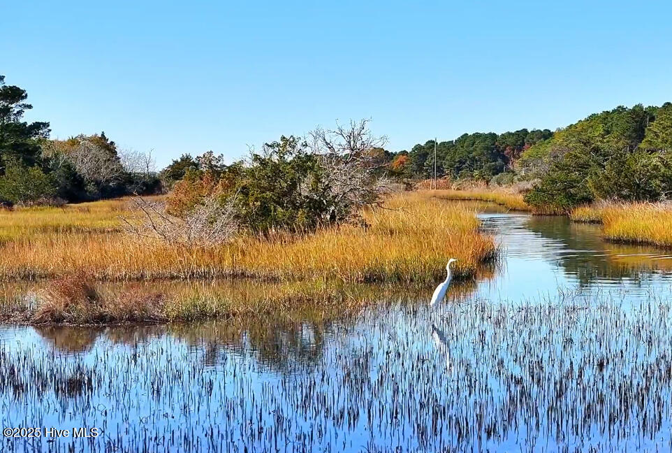 138 Royal Palms Way Holly Ridge, NC 28445 - Photo 22 of 26 IMG_9841
