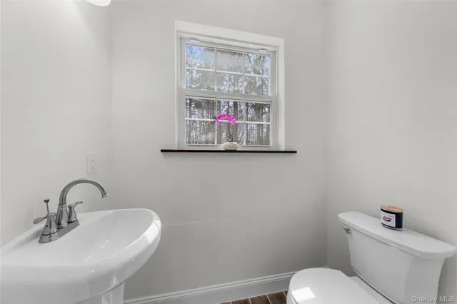 a living room with furniture kitchen view and a potted plant