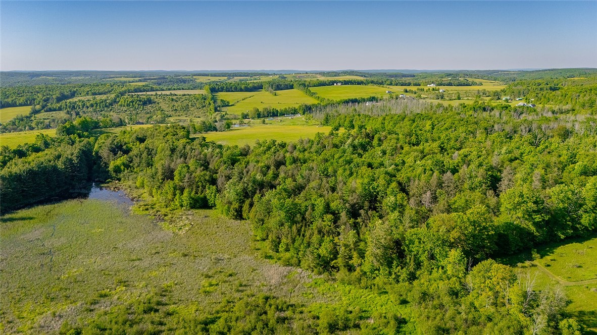 10815 Church Creek Road Caton, NY 14858 - Photo 16 of 22