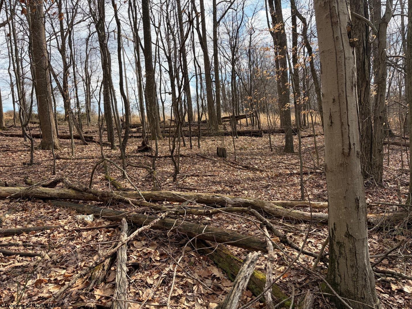 Tbd Mount Zion Road Fairmont, WV 26554 - Photo 24 of 29 Gallery Image 24