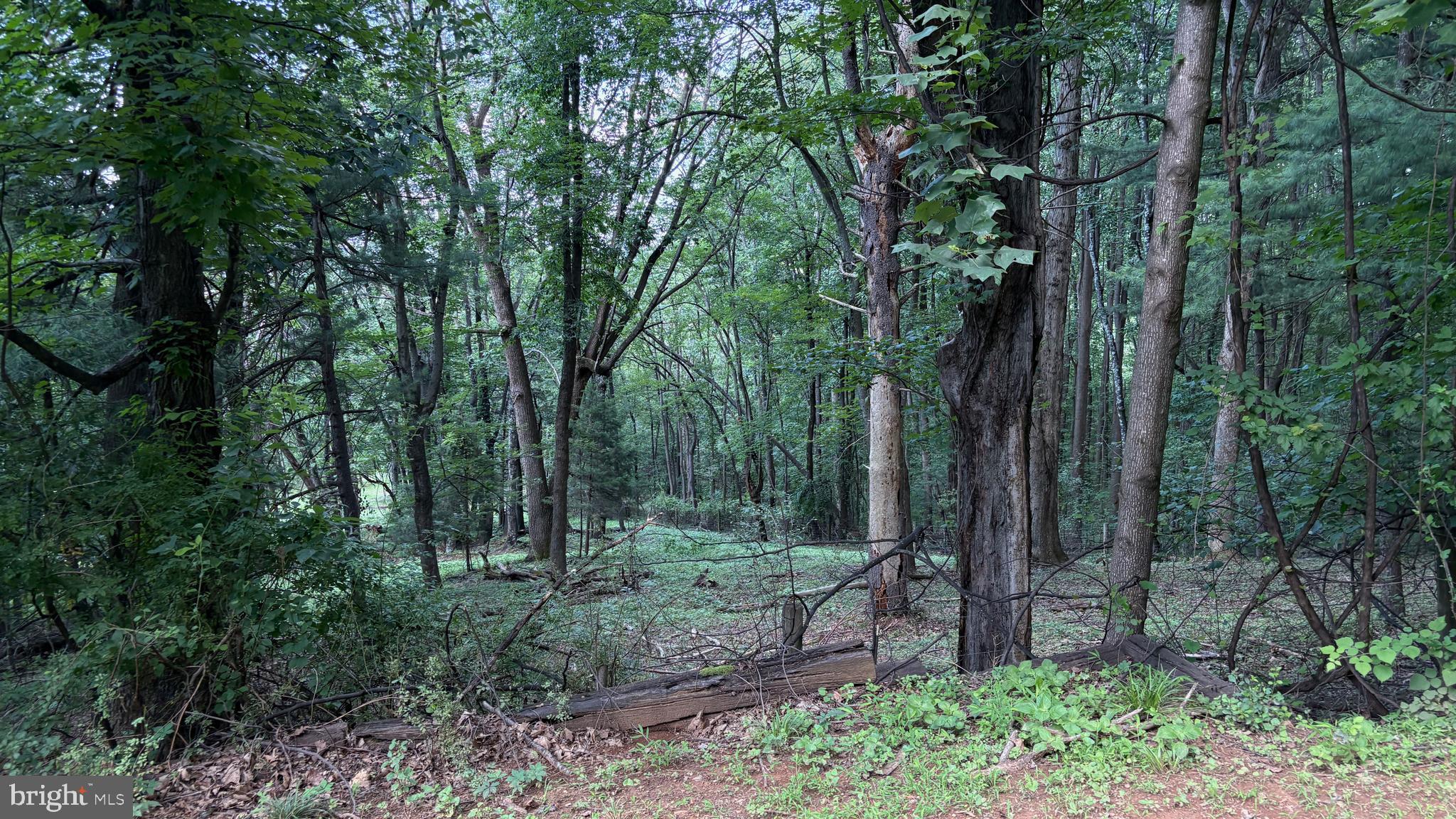 287 Blackthorne Road Stanley, VA 22851 - Photo 18 of 35 Looking west frm the hse