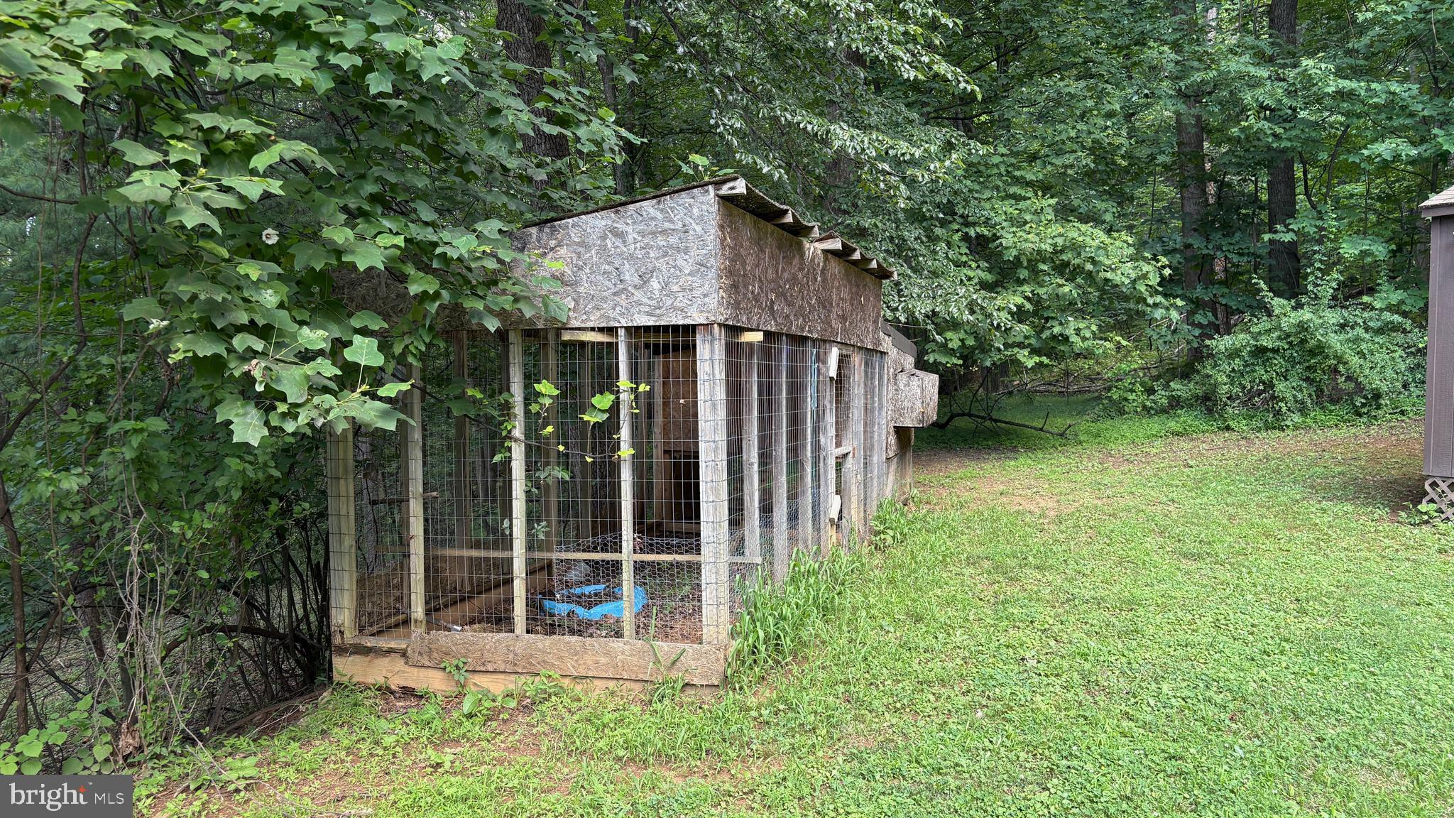 287 Blackthorne Road Stanley, VA 22851 - Photo 19 of 35 Chicken Coop