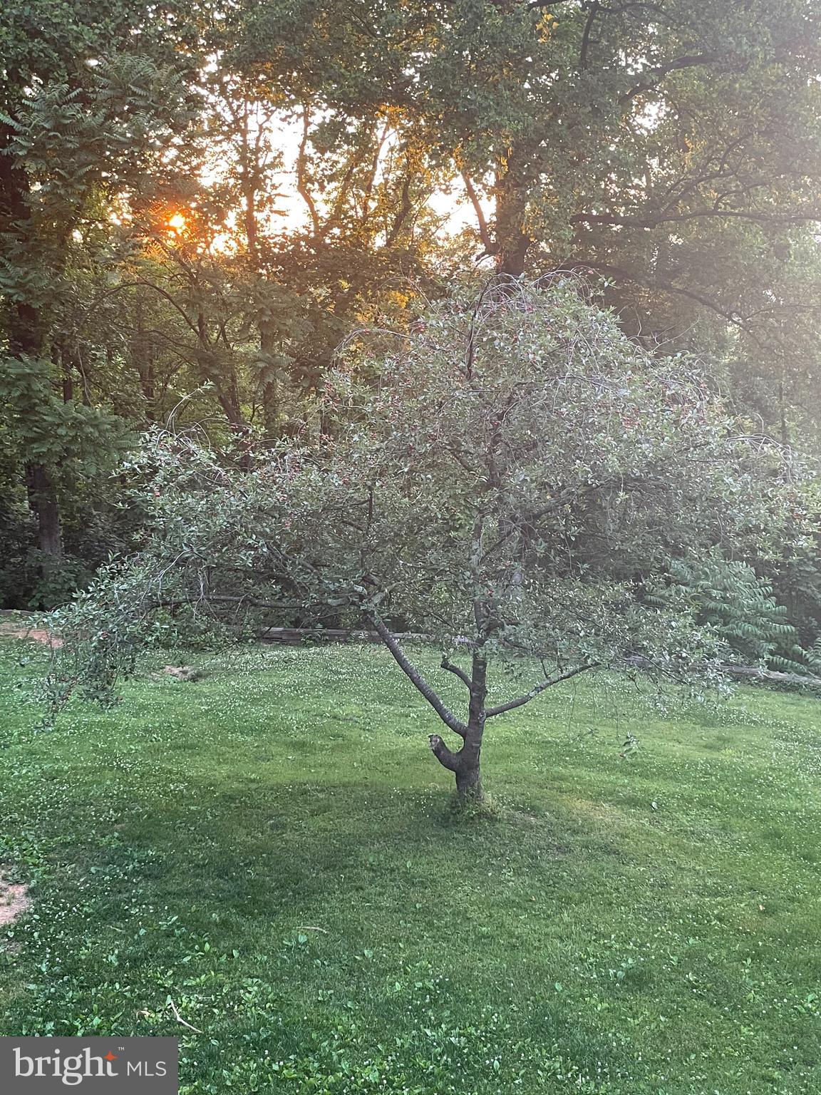 287 Blackthorne Road Stanley, VA 22851 - Photo 32 of 35 Owner Favs