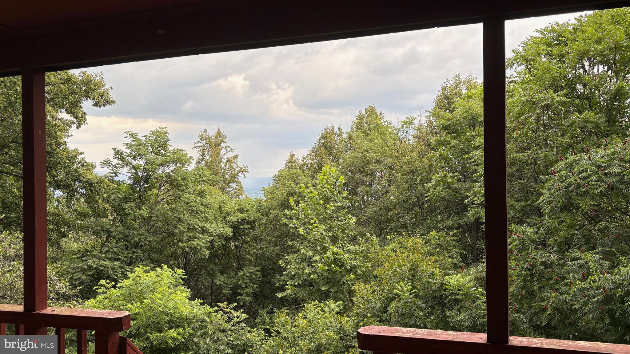 287 Blackthorne Road Stanley, VA 22851 - Photo 35 of 35 Owner Favs