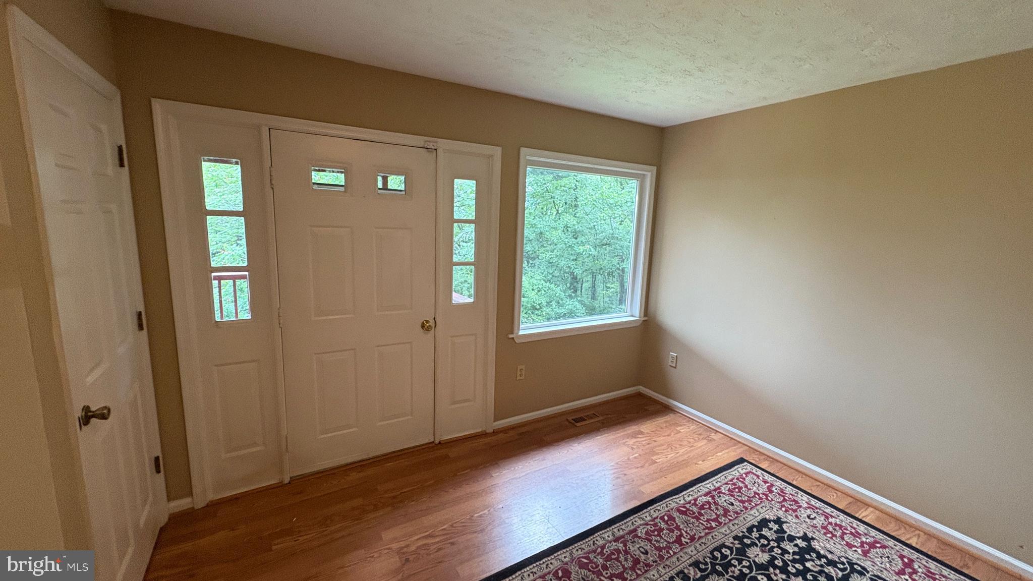 287 Blackthorne Road Stanley, VA 22851 - Photo 6 of 35 Entry foyer